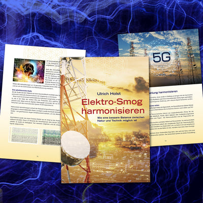 Was ist Elektrosmog? als eBook von Ulrich Holst - Ambition AG